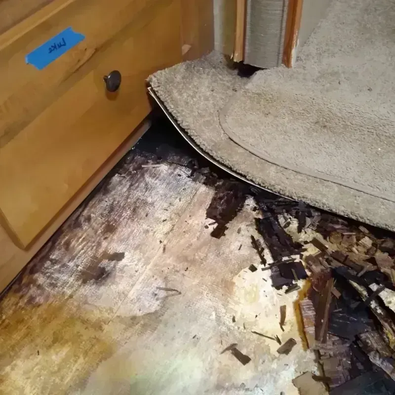 Best Wood Floor Water Damage Service in Coopersburg, PA